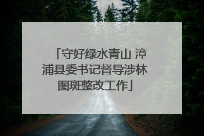 守好绿水青山 漳浦县委书记督导涉林图斑整改工作