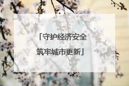守护经济安全 筑牢城市更新