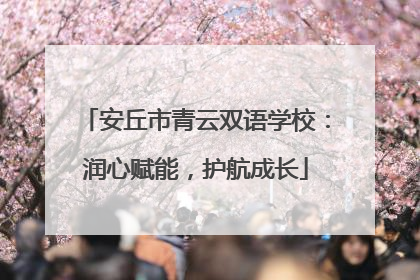 安丘市青云双语学校：润心赋能，护航成长
