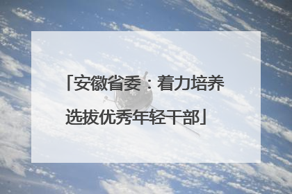 安徽省委：着力培养选拔优秀年轻干部