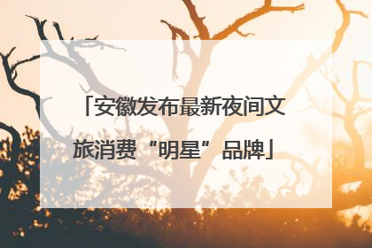 安徽发布最新夜间文旅消费“明星”品牌