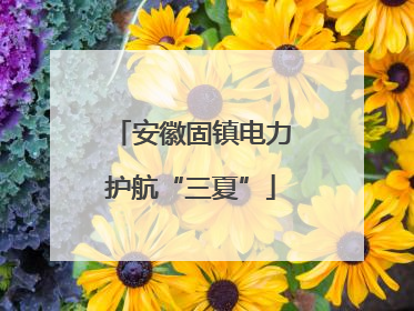 安徽固镇电力护航“三夏”
