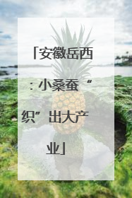安徽岳西：小桑蚕“织”出大产业