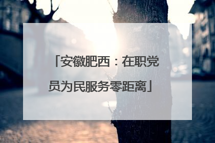 安徽肥西：在职党员为民服务零距离