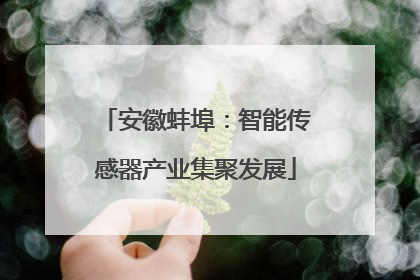 安徽蚌埠：智能传感器产业集聚发展