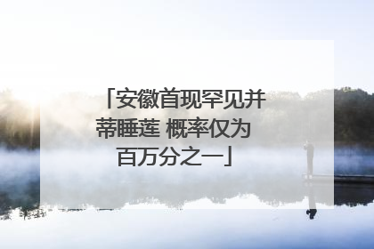 安徽首现罕见并蒂睡莲 概率仅为百万分之一