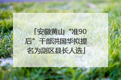 安徽黄山“准90后”干部洪国华拟提名为副区县长人选
