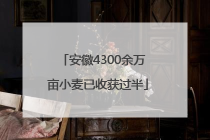安徽4300余万亩小麦已收获过半
