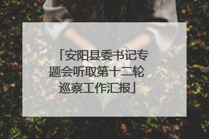 安阳县委书记专题会听取第十二轮巡察工作汇报