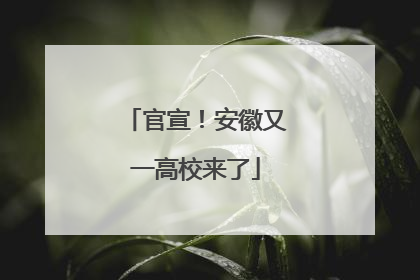 官宣！安徽又一高校来了