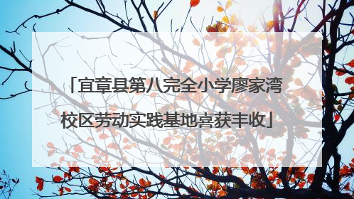 宜章县第八完全小学廖家湾校区劳动实践基地喜获丰收