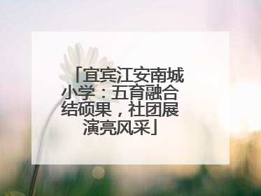 宜宾江安南城小学：五育融合结硕果，社团展演亮风采