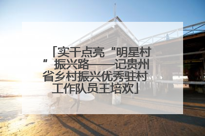 实干点亮“明星村”振兴路——记贵州省乡村振兴优秀驻村工作队员王培欢