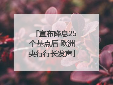 宣布降息25个基点后 欧洲央行行长发声