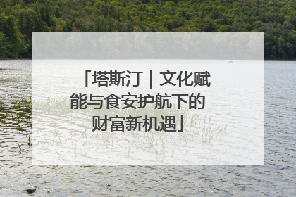 塔斯汀｜文化赋能与食安护航下的财富新机遇