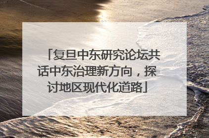 复旦中东研究论坛共话中东治理新方向，探讨地区现代化道路