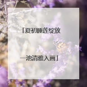 夏初睡莲绽放 一池清雅入画