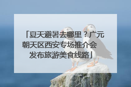 夏天避暑去哪里？广元朝天区西安专场推介会 发布旅游美食线路
