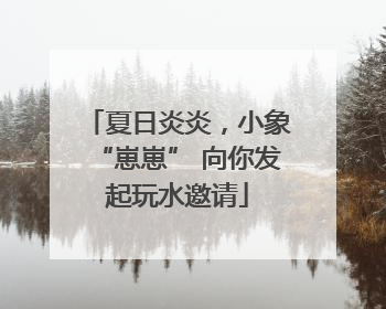 夏日炎炎，小象“崽崽” 向你发起玩水邀请