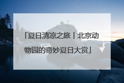 夏日清凉之旅丨北京动物园的奇妙夏日大赏