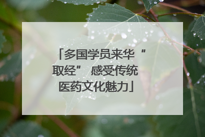 多国学员来华“取经” 感受传统医药文化魅力