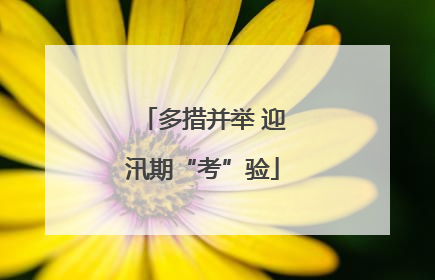 多措并举 迎汛期“考”验