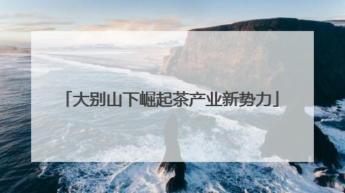 大别山下崛起茶产业新势力