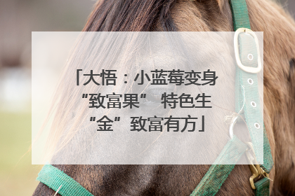 大悟：小蓝莓变身“致富果” 特色生“金”致富有方