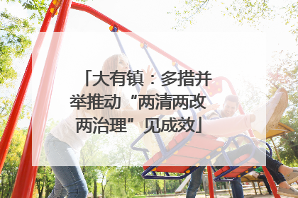 大有镇：多措并举推动“两清两改两治理”见成效