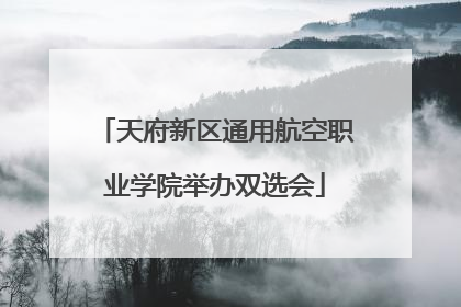 天府新区通用航空职业学院举办双选会