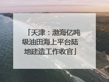 天津：渤海亿吨级油田海上平台陆地建造工作收官