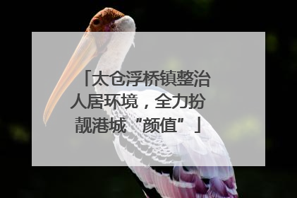 太仓浮桥镇整治人居环境，全力扮靓港城“颜值”