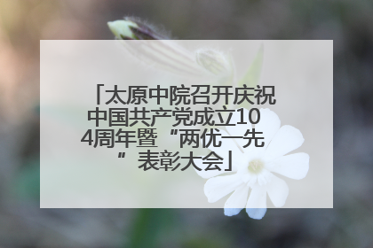 太原中院召开庆祝中国共产党成立104周年暨“两优一先”表彰大会