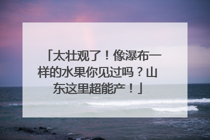 太壮观了！像瀑布一样的水果你见过吗？山东这里超能产！
