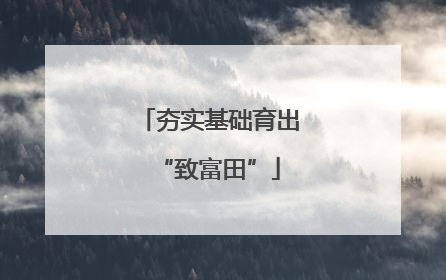 夯实基础育出“致富田”
