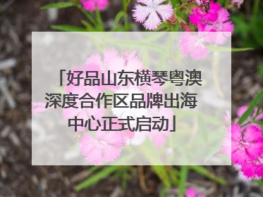 好品山东横琴粤澳深度合作区品牌出海中心正式启动