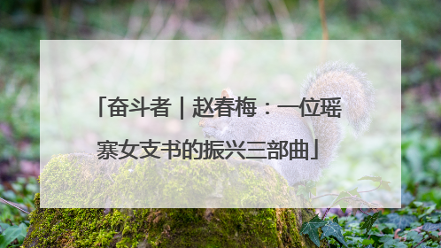 奋斗者｜赵春梅：一位瑶寨女支书的振兴三部曲