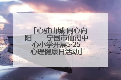 心驻山城 同心向阳——宁国市仙霞中心小学开展5·25心理健康日活动