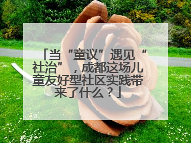当“童议”遇见“社治”，成都这场儿童友好型社区实践带来了什么？