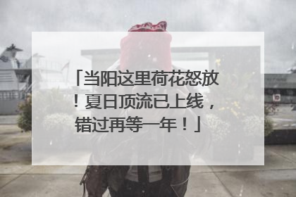 当阳这里荷花怒放！夏日顶流已上线，错过再等一年！
