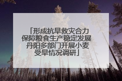 形成抗旱救灾合力 保障粮食生产稳定发展 丹阳多部门开展小麦受旱情况调研