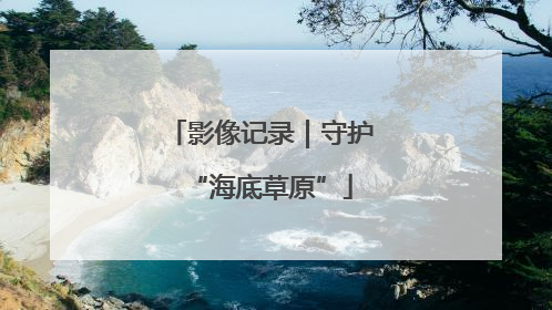 影像记录｜守护“海底草原”