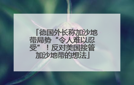德国外长称加沙地带局势“令人难以忍受”！反对美国接管加沙地带的想法
