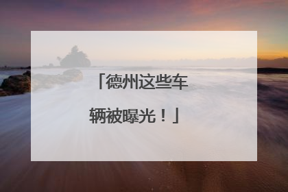德州这些车辆被曝光！