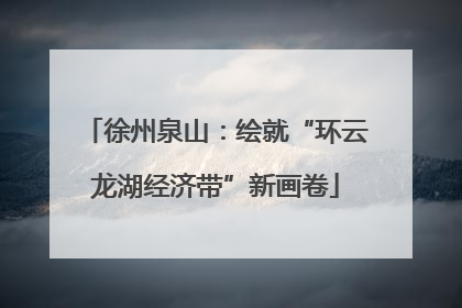 徐州泉山：绘就“环云龙湖经济带”新画卷