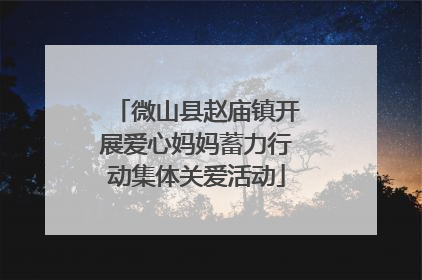 微山县赵庙镇开展爱心妈妈蓄力行动集体关爱活动