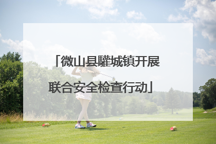 微山县驩城镇开展联合安全检查行动