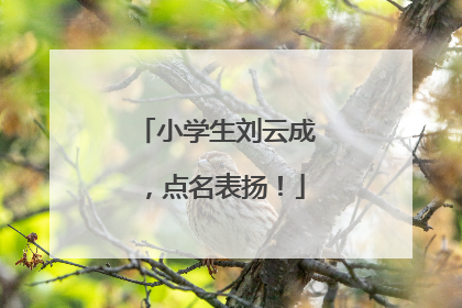 小学生刘云成，点名表扬！