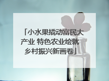 小水果撬动富民大产业 特色农业绘就乡村振兴新画卷
