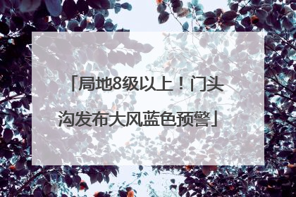 局地8级以上！门头沟发布大风蓝色预警